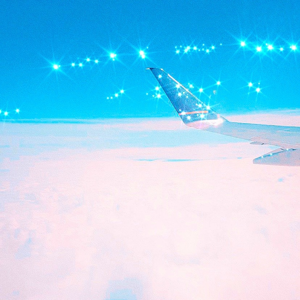 Meet your Posher, Elsa